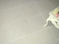 Beige Moleanos Limestone - Honed - Fine Grain